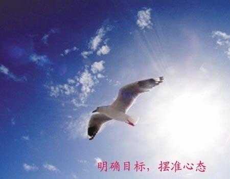 大學生另類創業盤點:刷馬桶刷出個千萬富翁