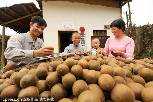 中國羅漢果變身美國汽水產業大救星?