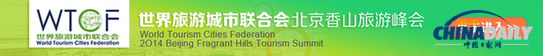 未來五年中國出境旅游將超過五億人次