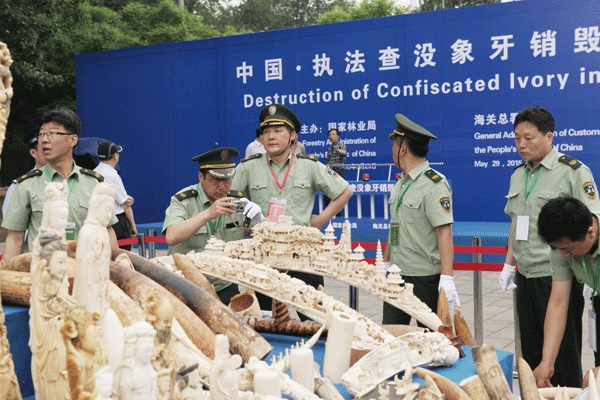 中美承諾嚴禁象牙貿易:美國是5大消費市場之一