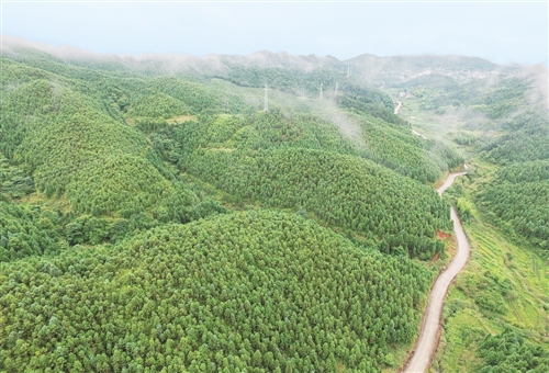 全國(guó)集體林權(quán)制度改革成就綜述:山定權(quán) 生態(tài)美 百姓富