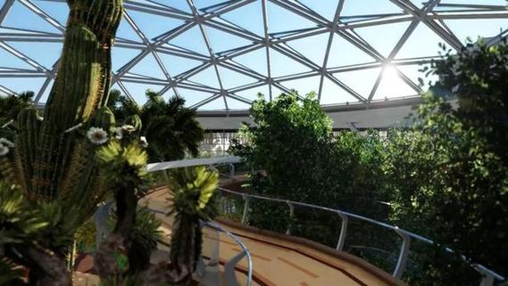 2019北京世園會植物館“萬花筒”正式發布