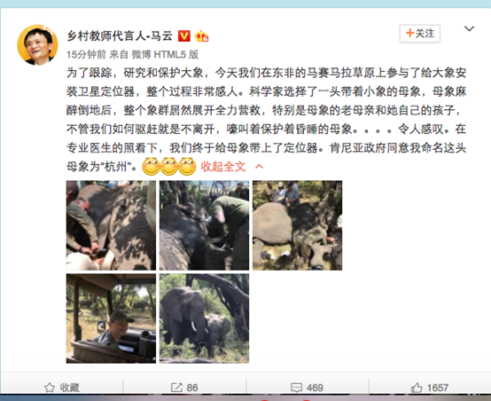 有只遠在非洲的大象，馬云將它命名為“杭州”